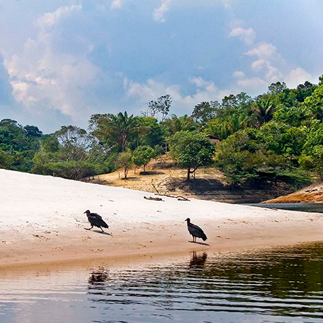 AMAZONAS 30 rio mosaico galeria_MG_1002.jpg